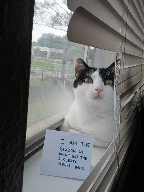 http://y94.com/blogs/pets/172/m...